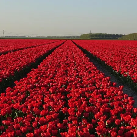 度假居 De Linden 海边的艾格蒙特