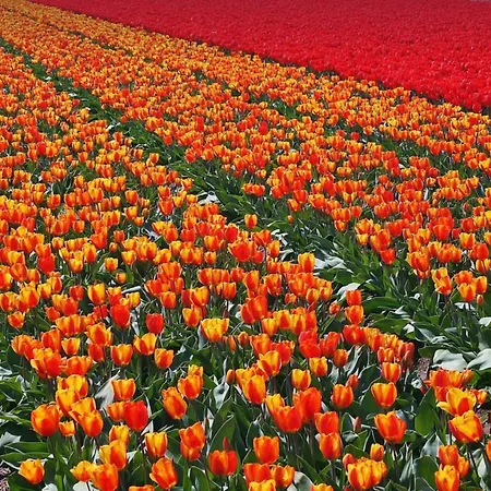 De Linden Vakantiehuis